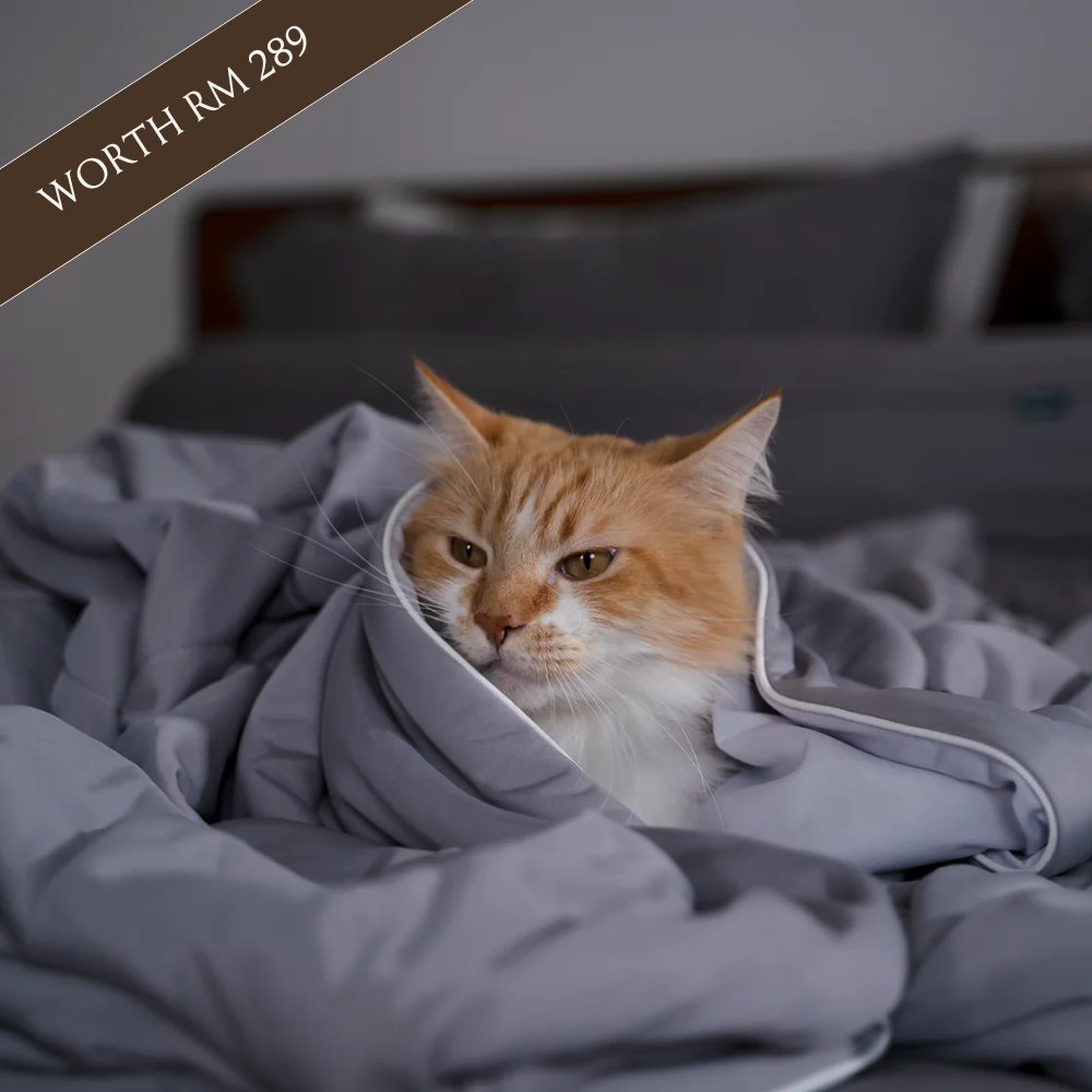 Anniversary Special | ArcticICE™ Cooling Blanket