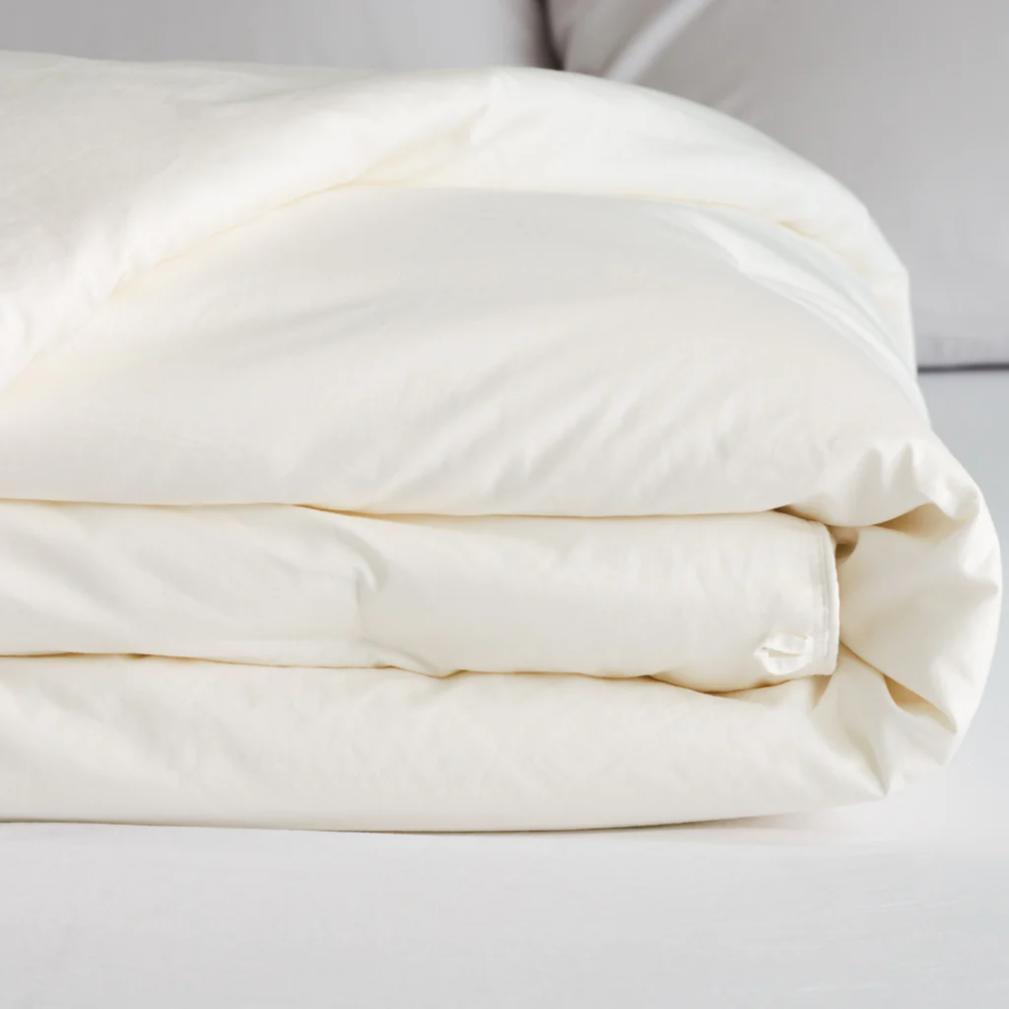 Silk Duvet Insert