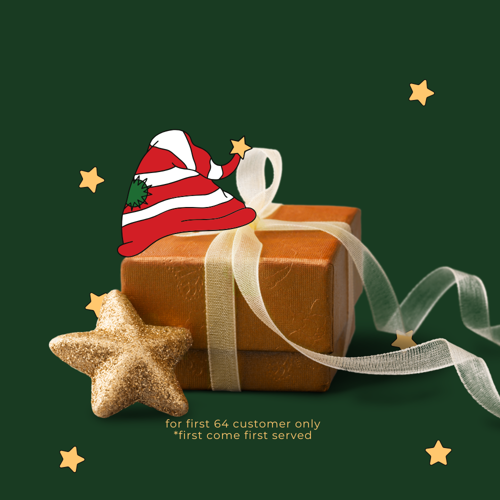 🎁 Xmas Santa Gift (100% off)